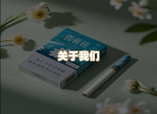 关于蓝帝网